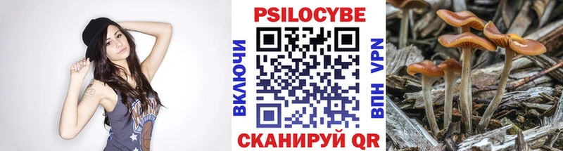 Псилоцибиновые грибы Psilocybine cubensis  Славгород 
